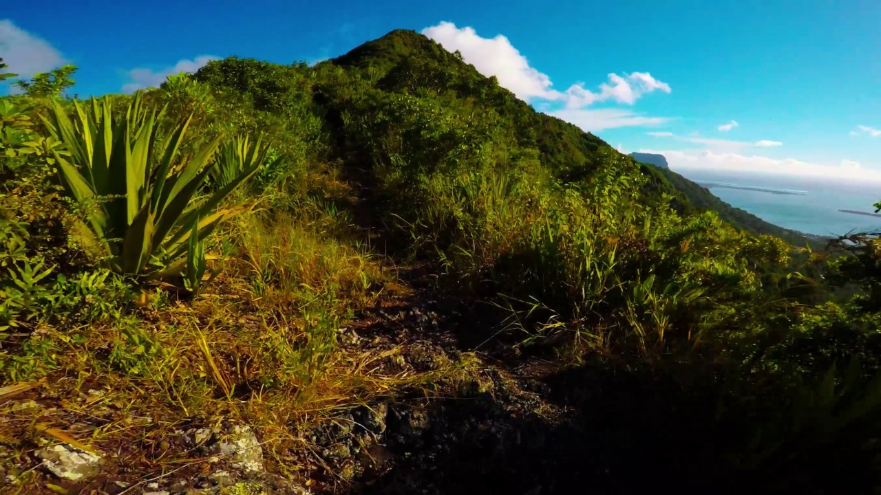 Piton de la Petite Rivière Noire & Piton du Canot Hiking Mauritius