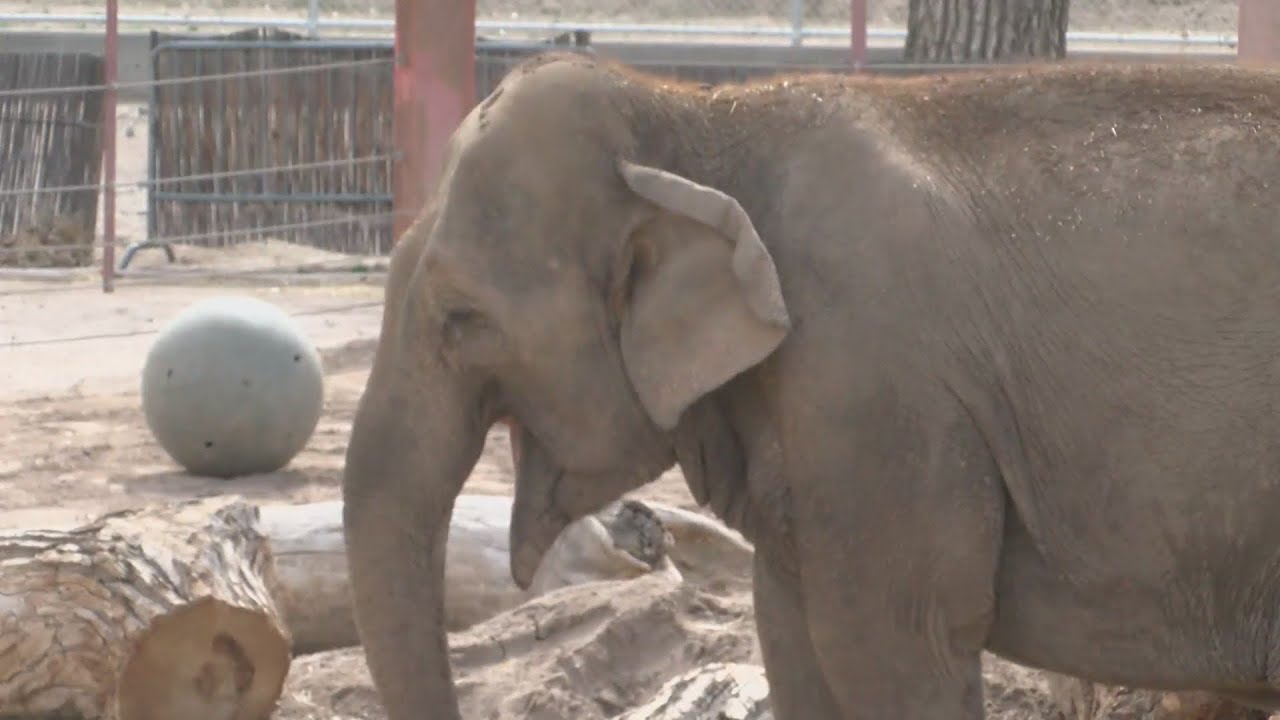 Scanning app promotes environmentally safe purchases