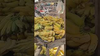 feira de Taquarana em Alagoas. vídeo completo lá YouTube tinga tiziu