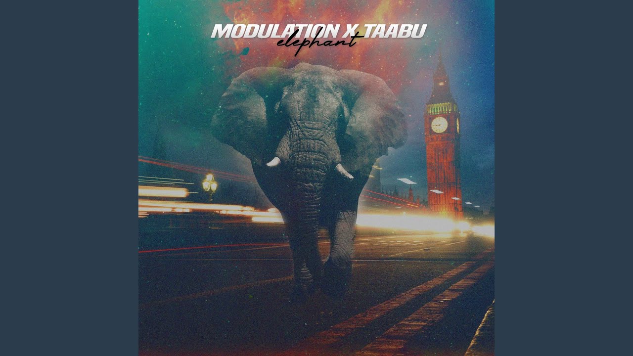 Elephant (Radio Edit)