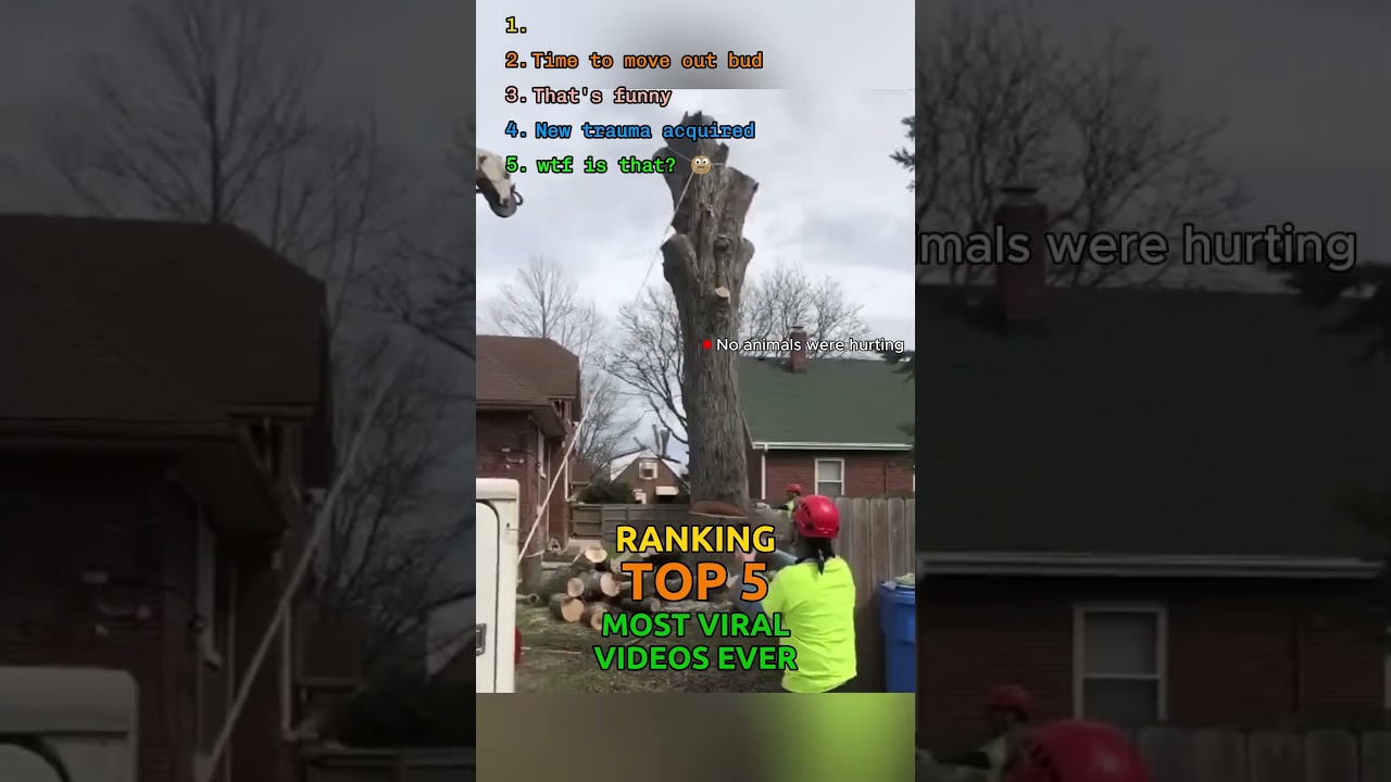 Top 5 Most Viral Videos of All Time