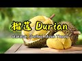 DURIAN 榴莲 Lyrics 我爱你爱你像Durian Otakotak Shelhiel Mulan Theory