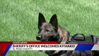 ‘A force multiplier:’ EPSO’s newest K9 Mako and handler to patrol the streets