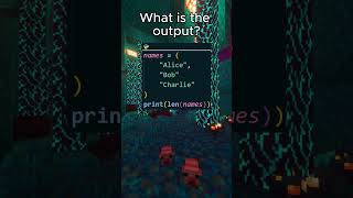 Can you find the hidden bug in this Python code 🔍
