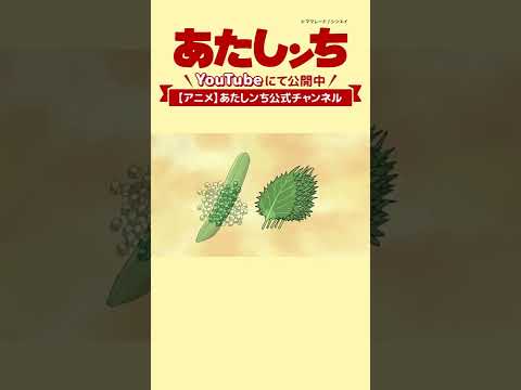 「タチバナクッキングスタジアム（乙なちらし）」| あたしンち