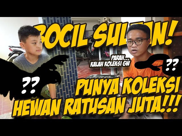 ANAK KECIL PUNYA KOLEKSI HEWAN RATUSAN JUTA!!! BUKAN SEMBARANG BOCIL!!! class=