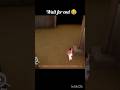 Kamla mobile me kya hua #kamla #gaming #shorts