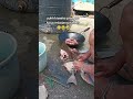 Ikan yang Unik #trending #cooking #tkwtaiwan #ikan#shorts #lansia #fyp#viral#