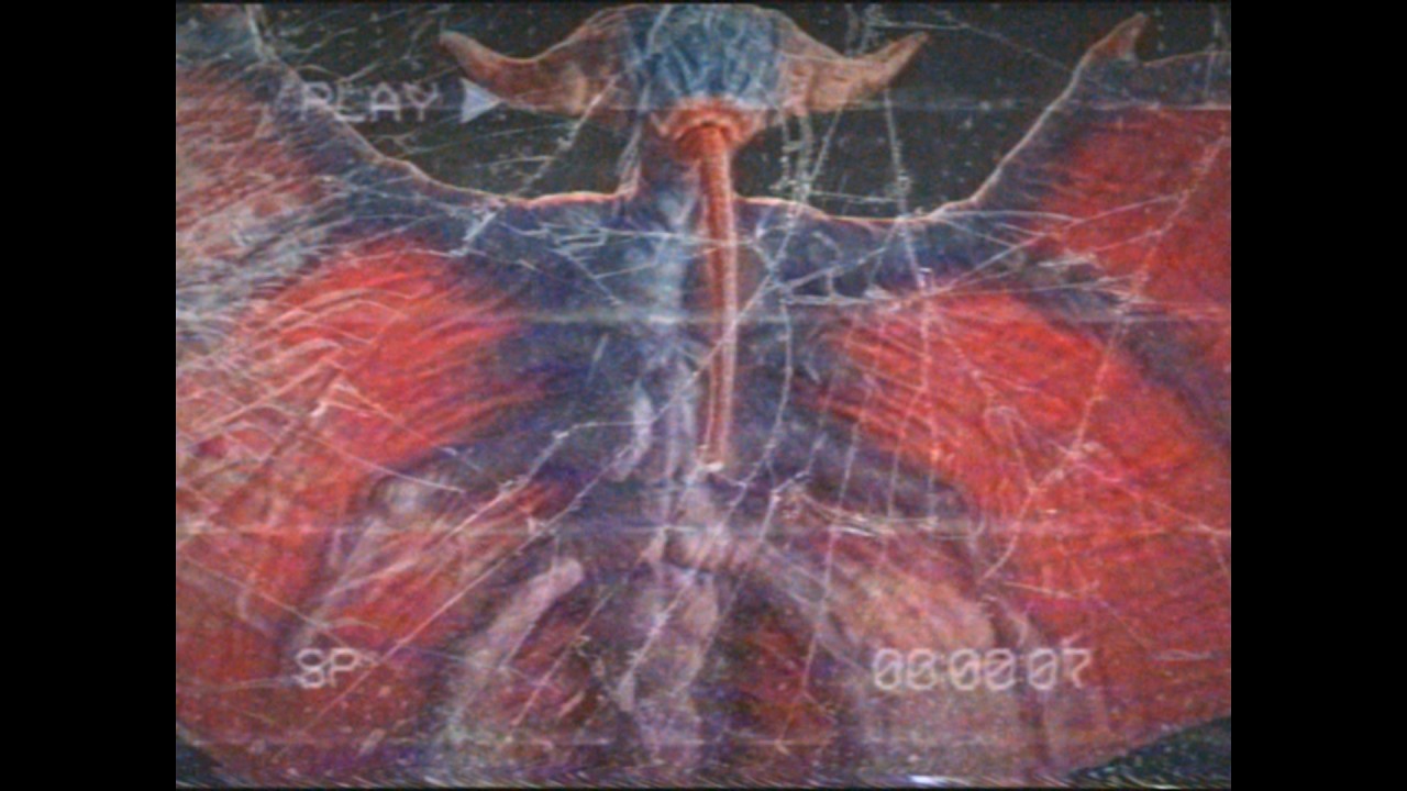 Alien Terror!!!