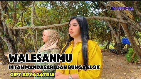 INTAN MANDASARI DAN BUNGA ELOK- WALESANMU