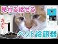 【ほっこり】外出先からスマホでニャンコにご飯！カリカリマシーンSPに感動！