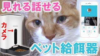 【ほっこり】外出先からスマホでニャンコにご飯！カリカリマシーンSPに感動！