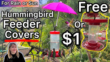 FREE DIY or Cheap Hummingbird Feeder Cover for Rain / Shade Hummingbirds LOVE & How to Make Nectar