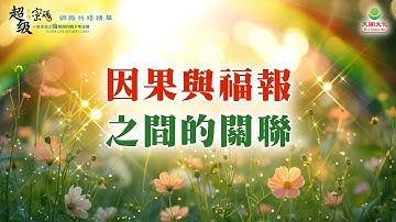 因果與福報之間的關聯｜太陽盛德導師–超級生命密碼網路共修精華