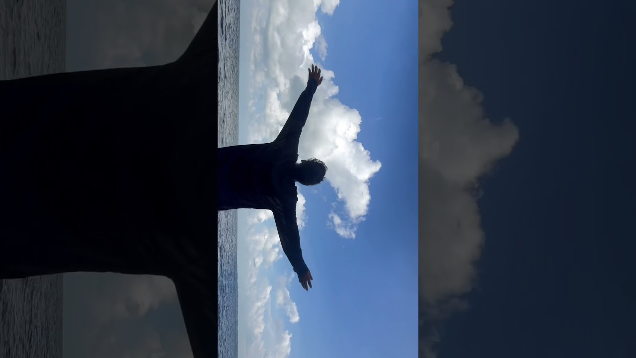 RANDOM CLIPS #shorts @zitu.29