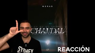 Reaccion de Extranjero a MORAD - CHANDAL | Reaction