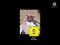 رعد المولد من حقي اسال رعد المولد من حقي اسال
