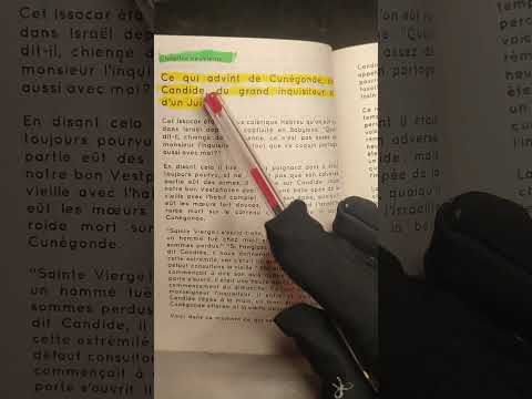 2bac candide ou l' optimisme chapitre 9 قراءة وتحليل جميع الفصول