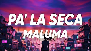 Ryan Castro - Pa' La Seca (Letra/Lyrics)