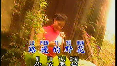 路边的野花不要采 Lu Bian De Ye Hua Bu Yao Cai (宝丽金 PolyGram Production - DVD版) - DayDayNews