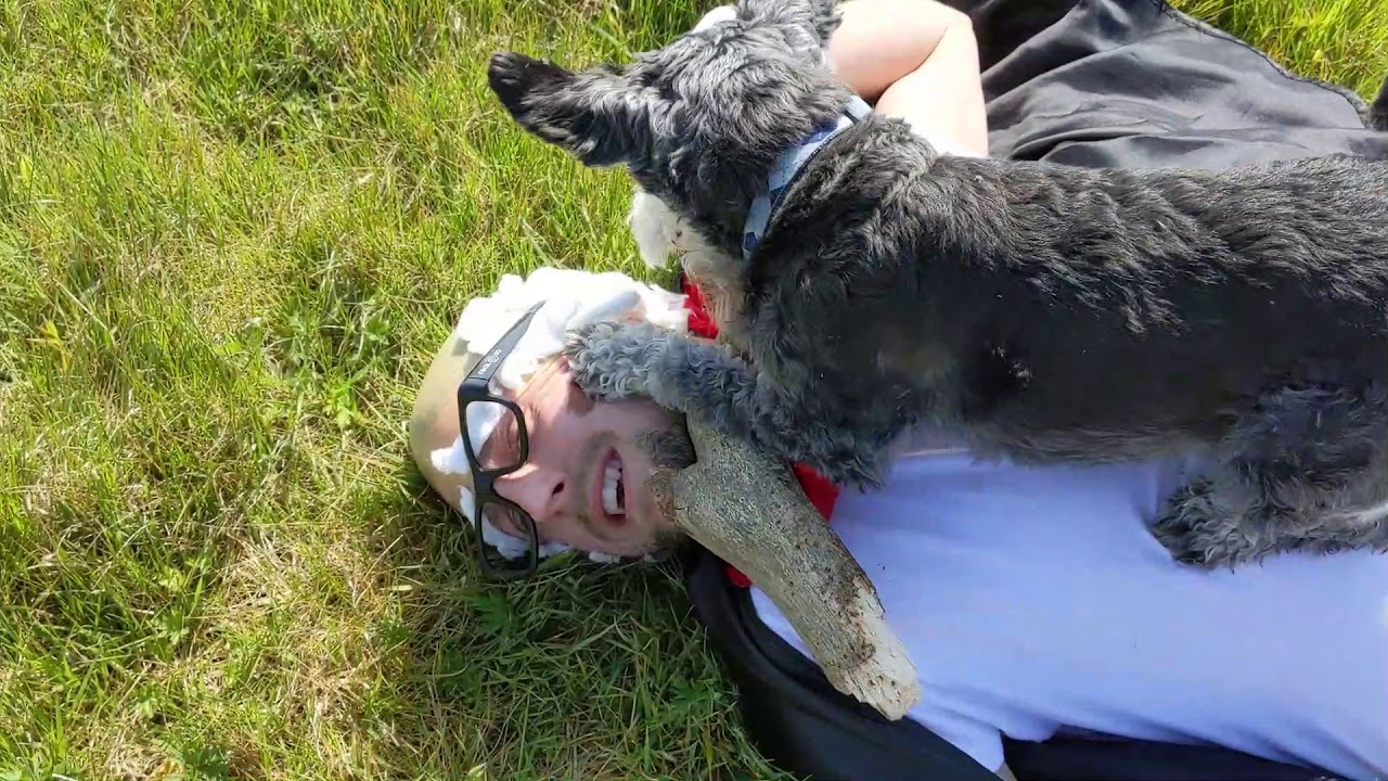 Mr Dewey's been taken episode 5