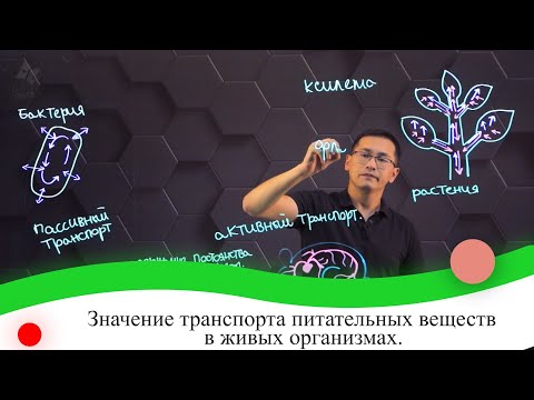 Значение транспорта питательных веществ в живых организмах. 7 класс.