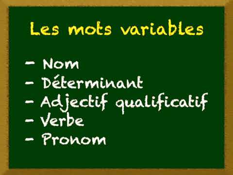 Leçon 1 - Les mots variables