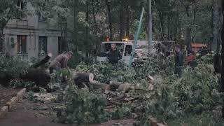 Looking for a reliable and affordable tree removal company in the Bronx? | Tree Care | 347-321-9951