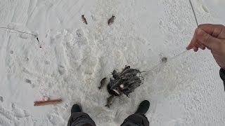 видео: ЖЕСТЬ!!! ХАПУГИ ПОЛНЫЕ РЫБЫ,ТРЕЩАТ И НЕ ЛЕЗУТ В ЛУНКУ... СТОЛЬКО ЗА РАЗ Я ЕЩЁ НИКОГДА НЕ ДОСТАВАЛ!!! картинка: ЖЕСТЬ!!! ХАПУГИ ПОЛНЫЕ РЫБЫ,ТРЕЩАТ И НЕ ЛЕЗУТ В ЛУНКУ... СТОЛЬКО ЗА РАЗ Я ЕЩЁ НИКОГДА НЕ ДОСТАВАЛ!!!