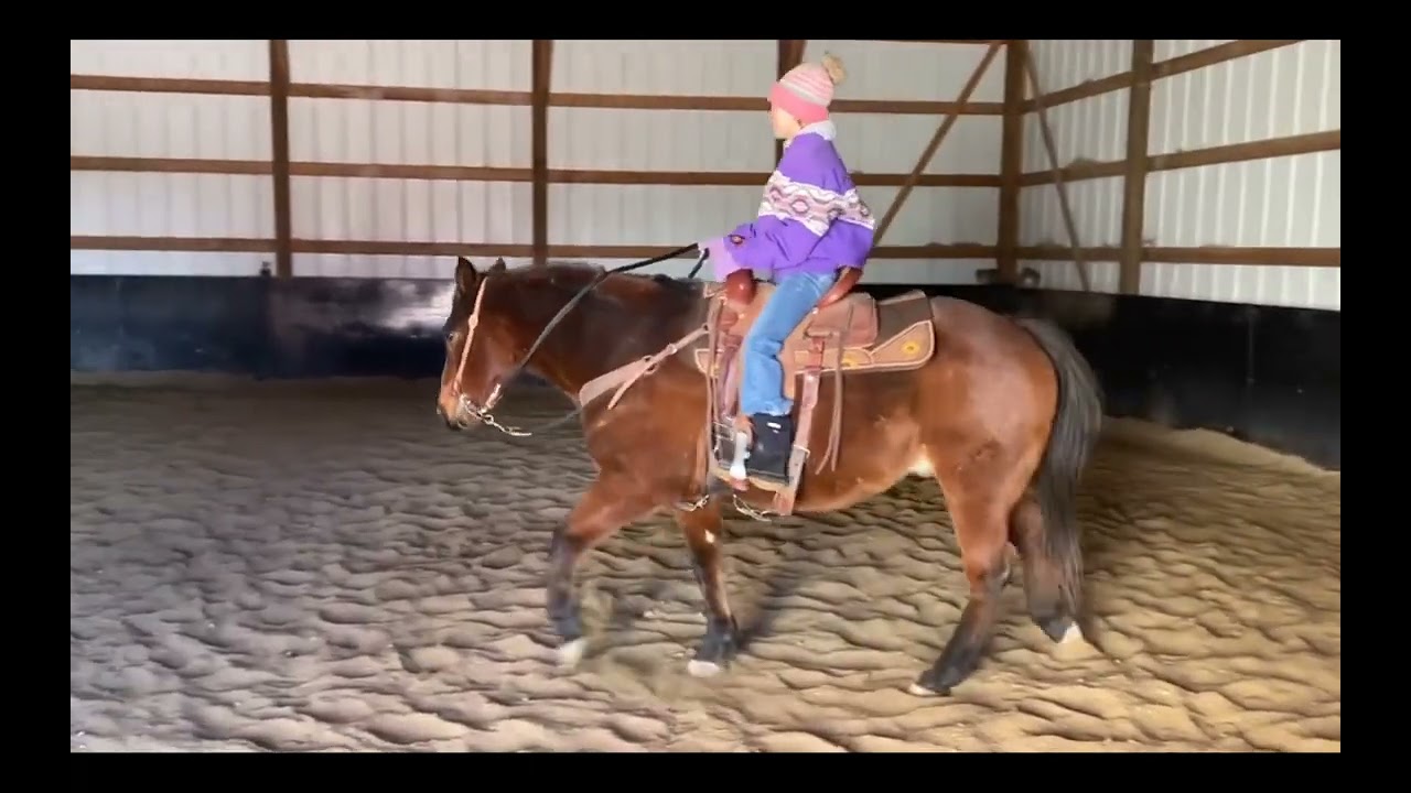 The horse I can't keep but love