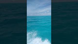 Download Lagu 30 Oktober 2021 MP3