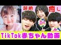 【TikTok赤ちゃん集】バナナを食べる姿に３人悶絶！かわいい連発でふみや・すず・えいと癒されまくり【超十代】