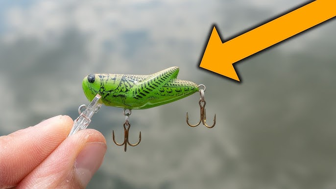 First Time Fishing with a REBEL Crickhopper! Cricket Fishing Lure 