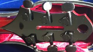 Taku Sakashta Design / T's Guitar : Jazz Guitar Designs Modern