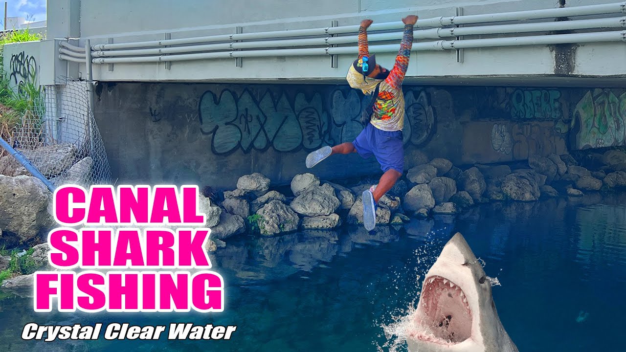 Fishing in Crystal Clear Water for Canal Sharks | Monster Mike Fishing