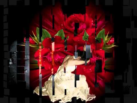 كل سنة وانتى طيبة يا اميرة