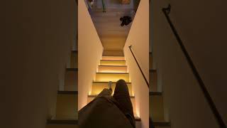 Motion activated LED stairs wled cob home automation