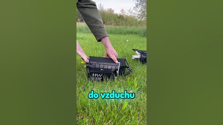 Angry Birds v reálném životě! 🐦😂