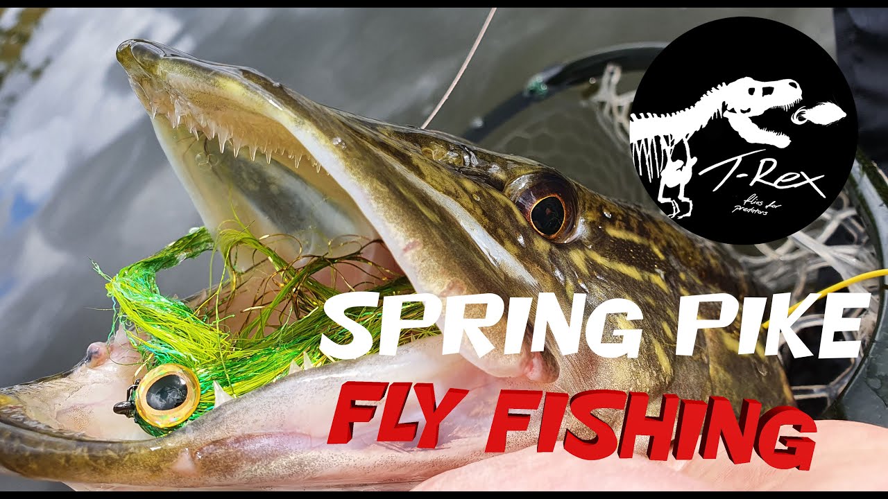 Majowe szczupaki na muchę / Spring pike fly fishing YouTube