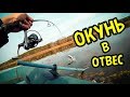 Ловля окуня в отвес на спиннинг