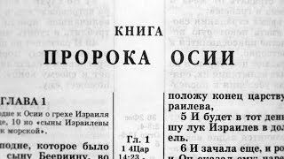 Библия. Книга пророка Осии. Ветхий Завет (читает Александр Бондаренко)