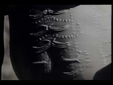 Nuba body modification - keloid tattoos - YouTube