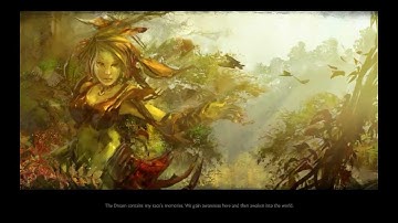 Guild Wars 2 | Sylvari intro HD