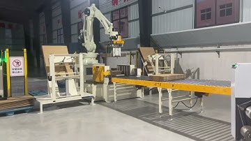 Standard model Robot palletizer system for corrugated carton box