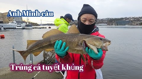 475.Mùa Đông Bắc Âu mà Anh Minh Vẫn Câu Được Con Cá Tuyết Siêu To Khủng. 