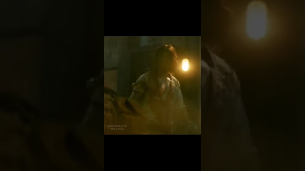 coolest Pathaan & Tiger transmission 