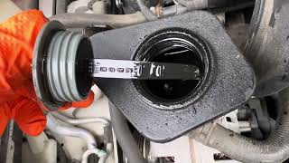 VW Jetta Power Steering Fluid Level Check