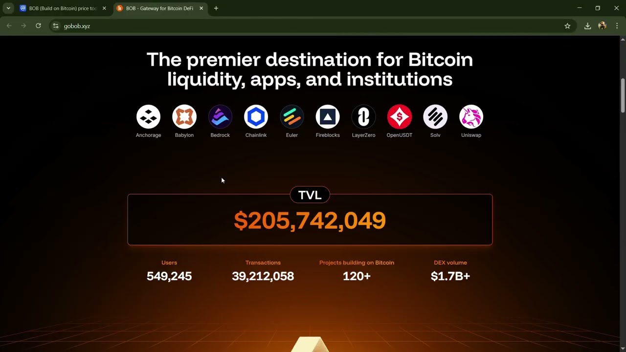 Что такое токен BOB (на основе Bitcoin) ($BOB) | Обзор токена $BOB