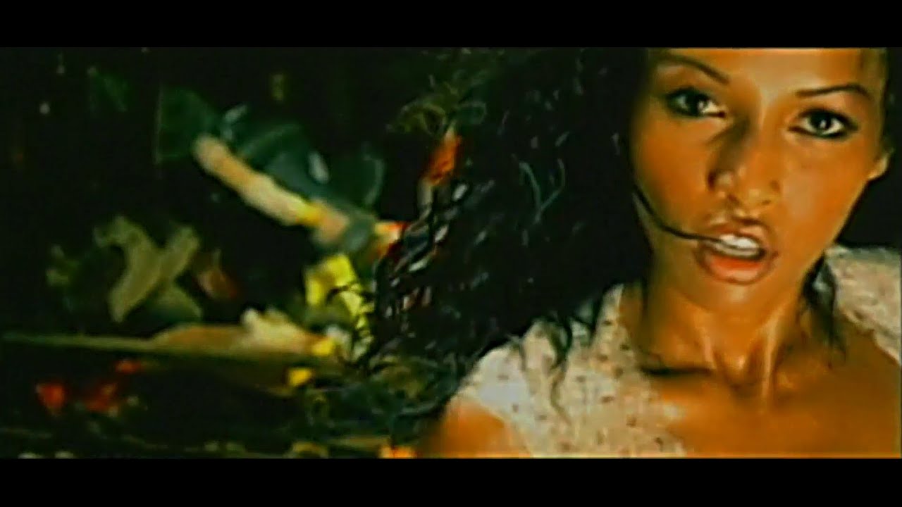 No Mercy Feat. Al Di Meola – Don’t Let Me Be Misunderstood – Music Video