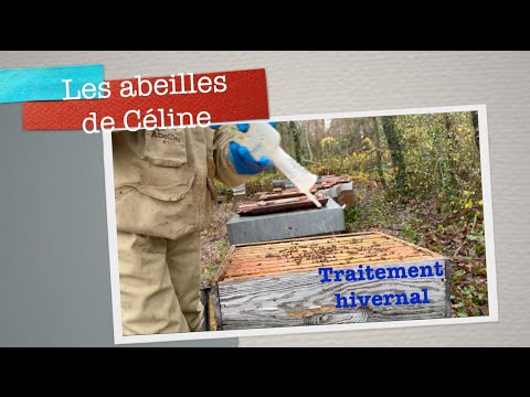 December 11, 2025 Winter treatment #beekeeping
